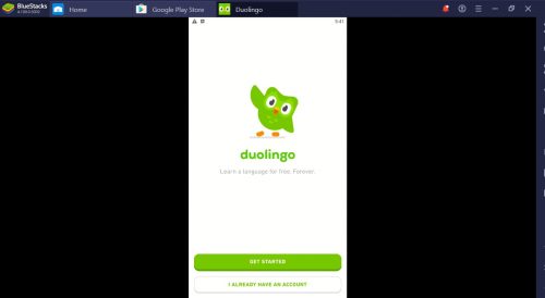 duolingo app download for pc